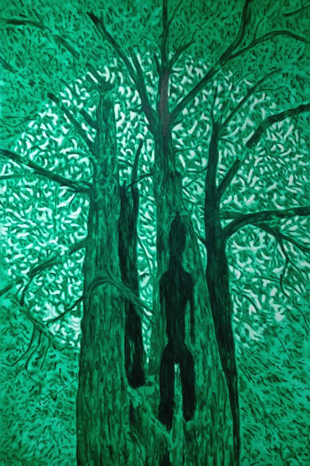 England Forest #13 – Soleil levant