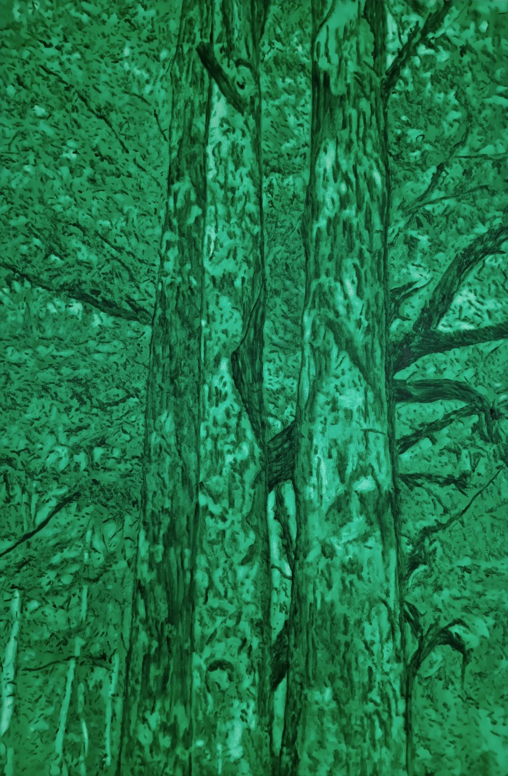 England Forest #16 – Ramage