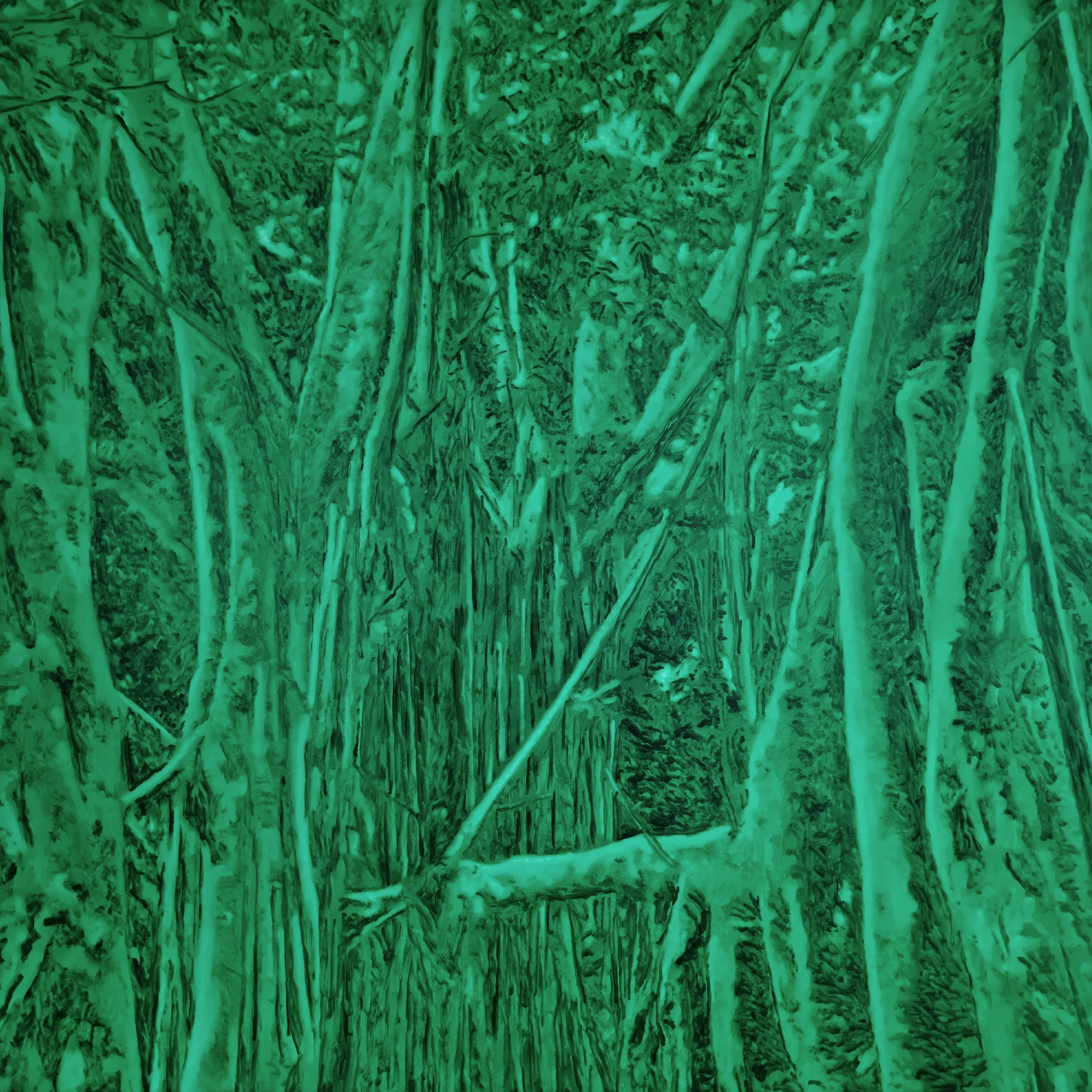 England Forest #17 -L’arbre qui marche