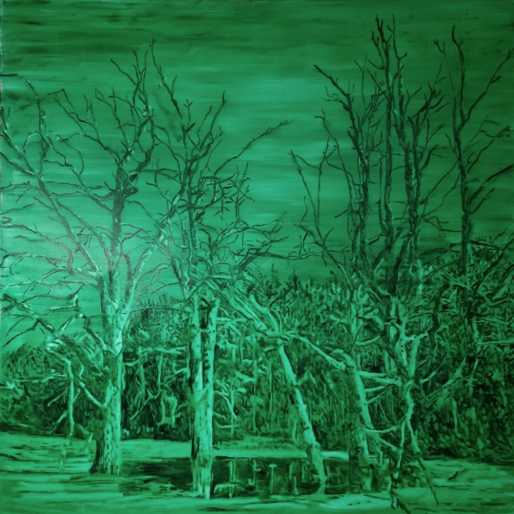 England Forest #25 – Aures sunt nemoris vert