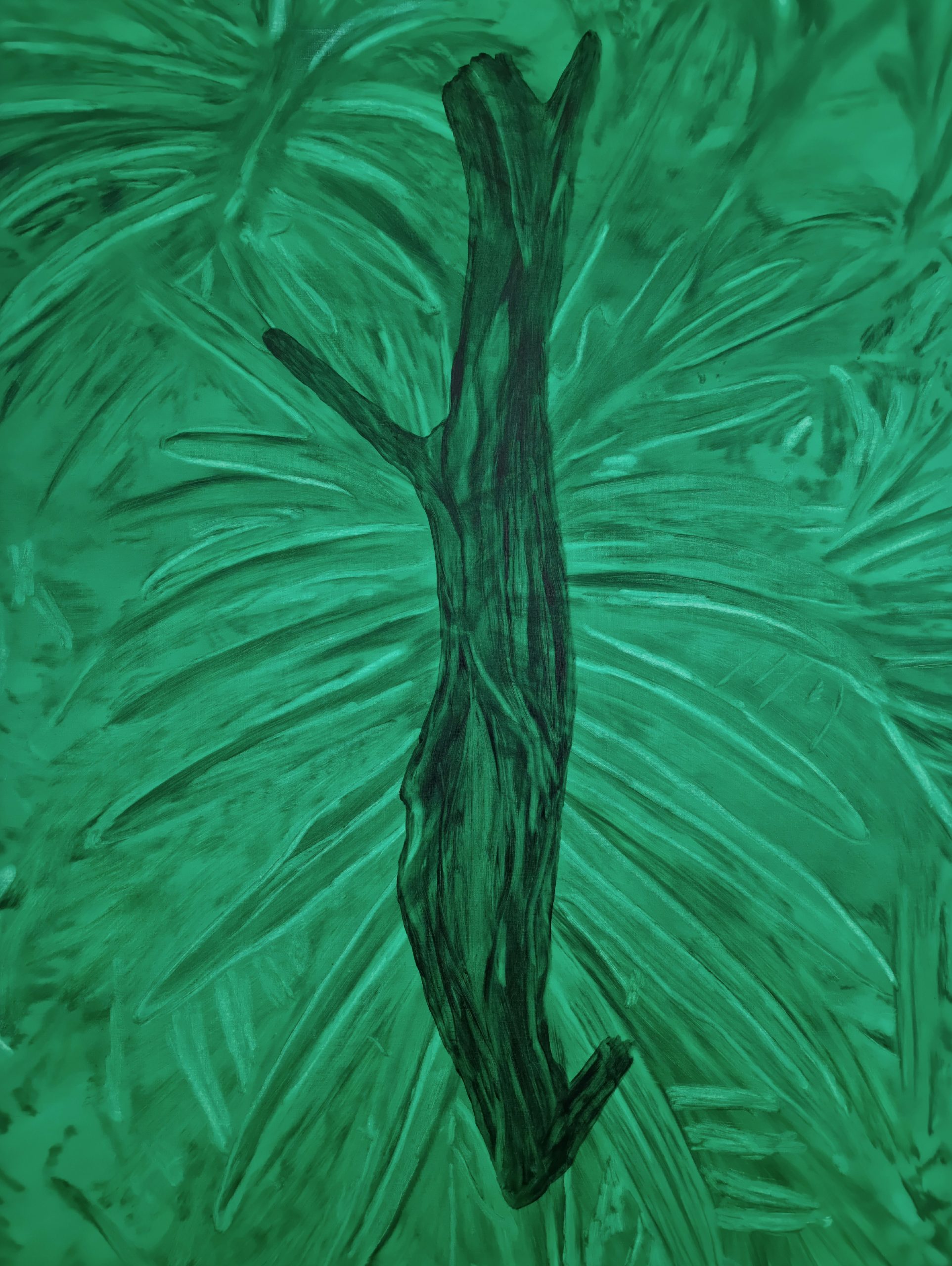 England Forest #8 – Bois bandé