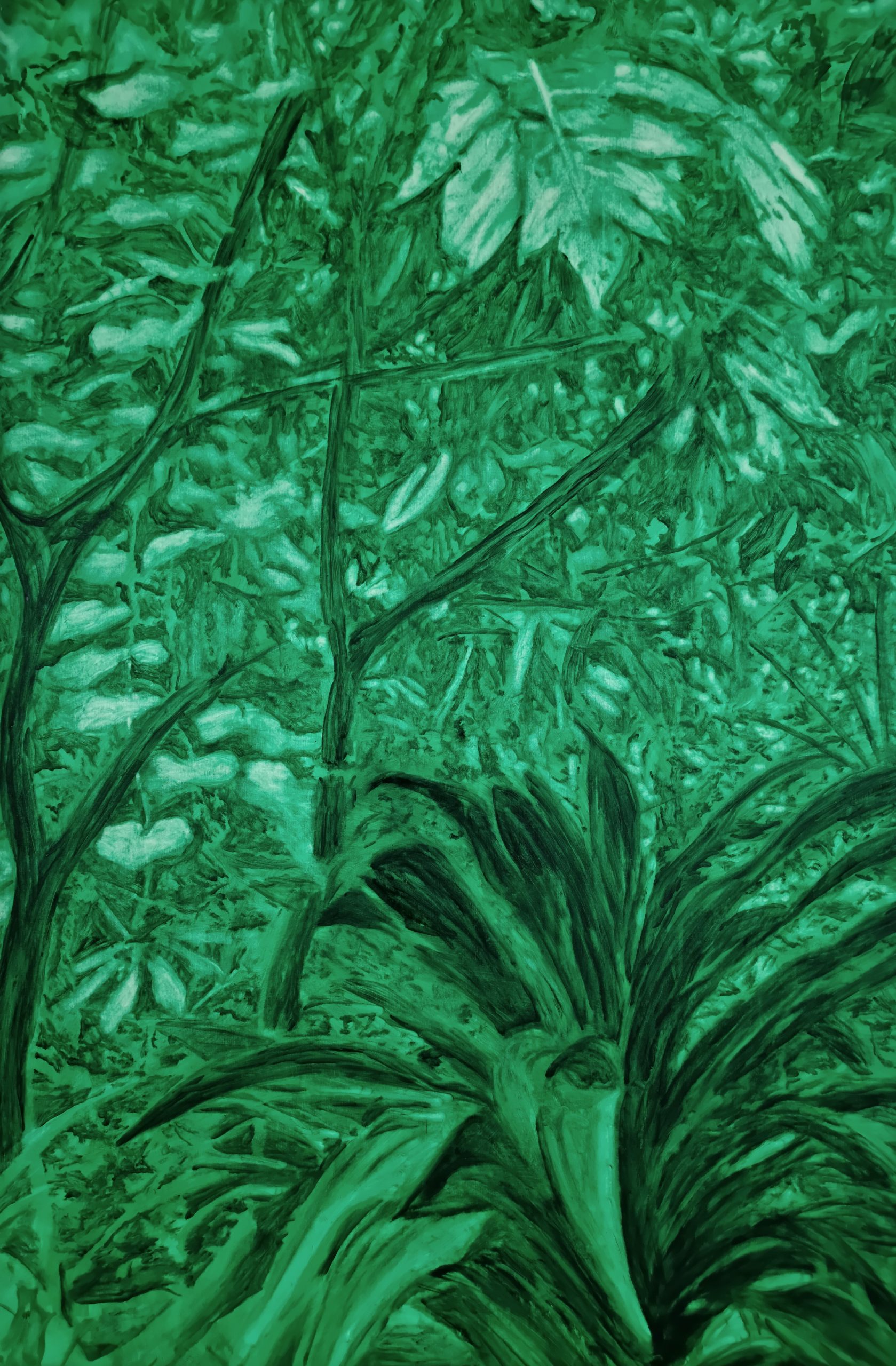 England Forest #9 – Bélouve