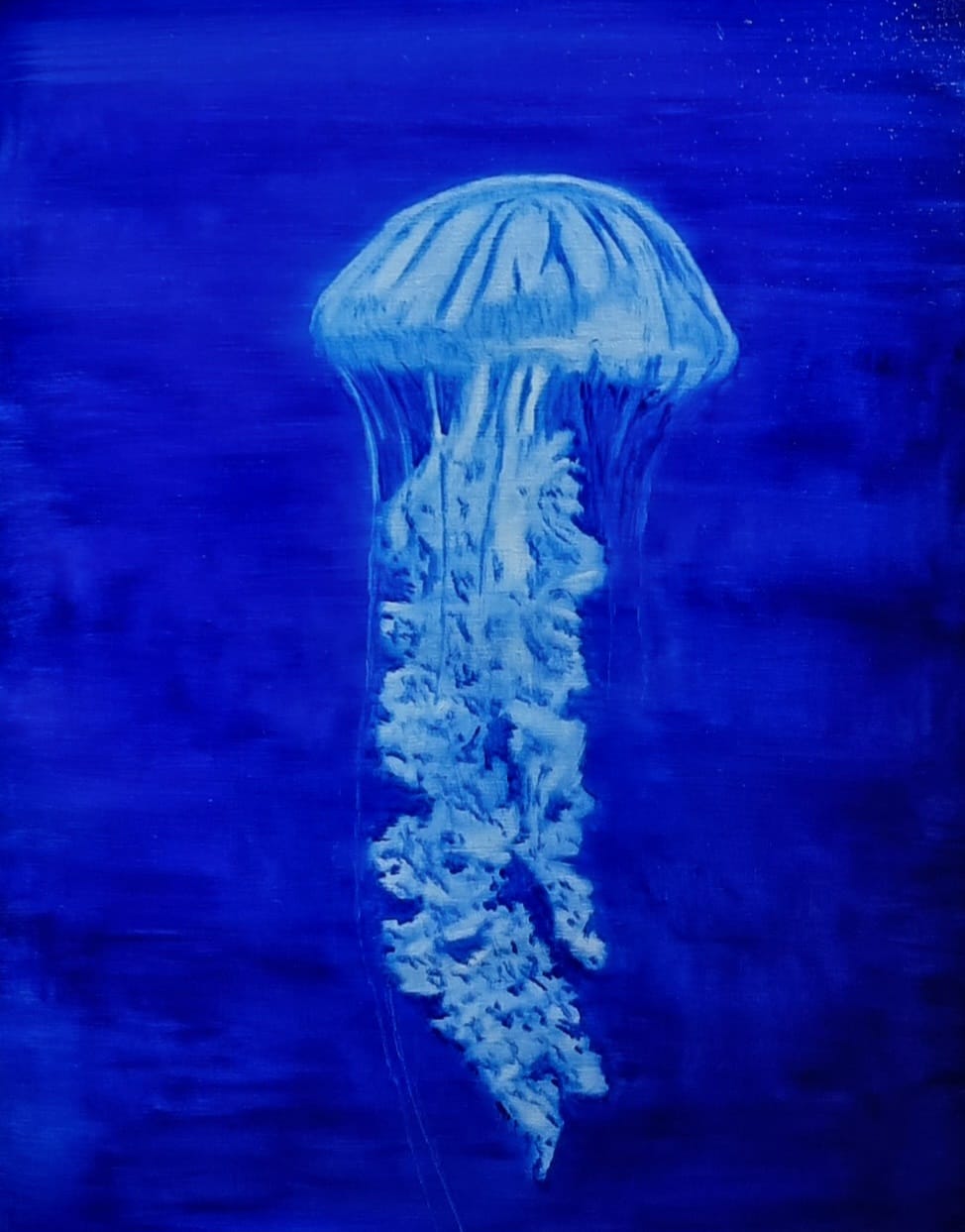 Méduse 3